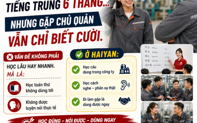 Hán ngữ online phù hợp ai