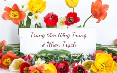 Trung tâm tiếng Trung Nhơn Trạch