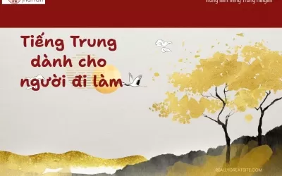 Trung tâm tiếng Trung Nhơn Trạch cho người đi làm