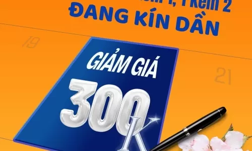 Hán ngữ online học 1 kèm 1