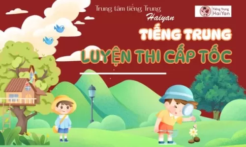 Trung tâm tiếng Trung Long Thành luyện thi cấp tốc